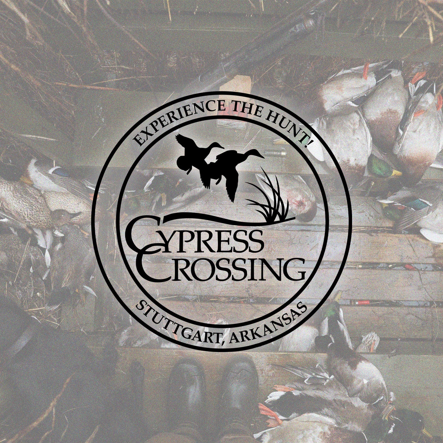 Cypress Crossing