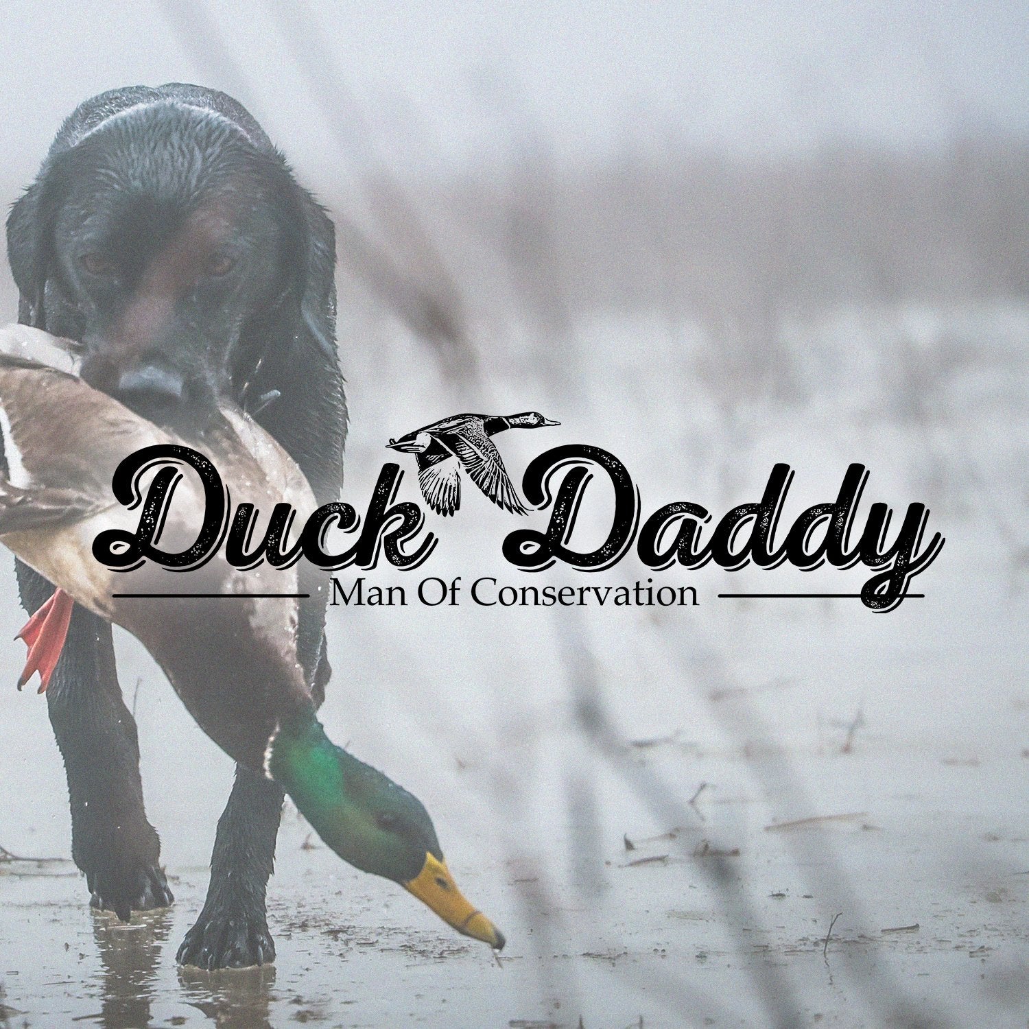 Duck Daddy